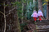Pilgrims in Heian period costumes, in Daimon-zaka Slope, access at Kumano Nachi Taisha Grand Shire, Kumano Kodo,Nakahechi route, Wakayama, Kinki, Japan.