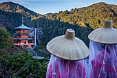 Pilgrims in Heian period costumes and Nachisan Seiganto-ji Temple (Three-Storied Pagoda), near Kumano Nachi Taisha Grand Shire, Kumano Kodo, Nakahechi route, Wakayama, Kinki, Japan.
