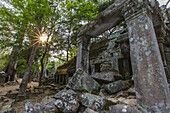 Jungle surrounded ruins at Ta Prohm Temple, Rajavihara, Angkor, Siem Reap Province, Cambodia, Khmer.