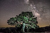 Milky way in Gudar-Javalambre area. Teruel. Aragón.