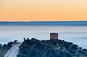 La Torreta, Farlete, Monegros, Aragon, Spain.