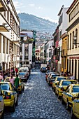 View of downtown in the capital city of Funchal, Madeira, Portugal.