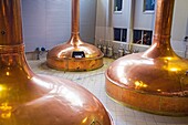 Brewing room with mash tun copper tanks, Lech brewery, Poznan, Poland.