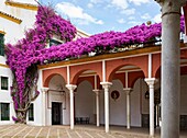 La Casa de Pilatos Pilate´s House is an Andalusian palace in Seville, Spain, which serves as the permanent residence of the Dukes of Medinaceli. The building is a mixture of Renaissance Italian and Mudéjar Spanish styles. It is considered the prototype of