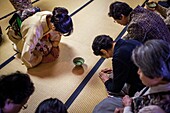 Tea ceremony, in Cyu-o-kouminkan, Morioka, Iwate Prefecture, Japan.