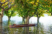 Boat on a flooding alpine lake Maggiore with trees in Ascona, Switzerland.