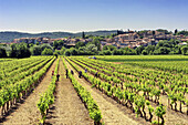 Europe, France, Var, Carces. The village of Carces and vineyards.