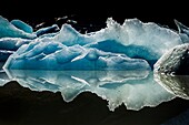 Iceberg reflection, Hooker glacier lake, Aoraki / Mount Cook National Park, New Zealand.