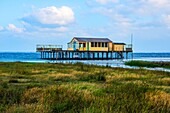 Schiermonnikoog, Netherlands. Beach house on wooden poles on the UNESCO Wadden Island Schiermonnikoog´s most northern beach, bordering the North Sea.