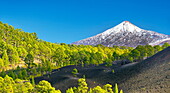 Teide National Park, Tenerife, Canary Islands, Spain.