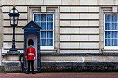 Palace Guard, Buckingham Palace, London, England.