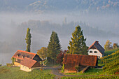 Weinberge und Gehöft im Morgendunst, bei Leutschach, Südsteirische Weinstraße