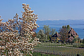 Seafront villa, Lake Constance, Hagnau am Bodensee