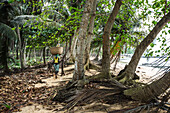Eingeborene Frau balanciert einen großen Korb auf ihrem Korb, Sao Tome, Sao Tome und Príncipe, Afrika