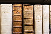 Herzog August Bibliothek, Lederbände, ledergebunden, Bücher, Regale, Wolfenbüttel, Niedersachsen, Deutschland