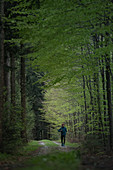 Young man running on a trail through a forest, Allgaeu, Bavaria, Germany