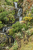 Waterfall Jacob's Ladder, Lotheni, Loteni, Mkhomazi Wilderness Area, Drakensberg, uKhahlamba-Drakensberg Park, UNESCO World Heritage Site Maloti-Drakensberg-Park, KwaZulu-Natal, South Africa