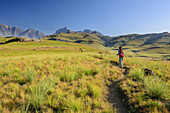 Woman hiking ascending towards Rhino Peak, Rhino Peak, Garden Castle, Mzimkhulu Wilderness Area, Drakensberg, uKhahlamba-Drakensberg Park, UNESCO World Heritage Site Maloti-Drakensberg-Park, KwaZulu-Natal, South Africa