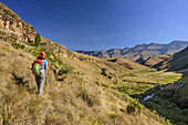 Frau beim Wandern geht auf Carabineers Wall und Durnford zu, Giant's Castle, Drakensberge, uKhahlamba-Drakensberg Park, UNESCO Welterbe Maloti-Drakensberg-Park, KwaZulu-Natal, Südafrika