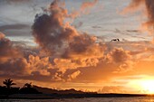 Sunset over Tobago Cays, British West Indies.