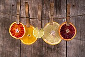 Presentation of a series of slices of citrus fruit to highlight the various colors.