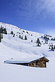 Snow-covered alpine hut with skitracks, Grosser Schuetz, Grosser Schuetzkogel, Kitzbuehel Alps, Tyrol, Austria