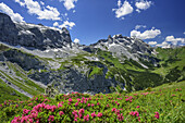 Blühende Alpenrosen vor Sulzfluh, Drei Türme und Schesaplana, Bilkengrat, Rätikon-Höhenweg, Rätikon, Vorarlberg, Österreich
