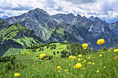 Ammergauer Hochplatte and Geiselstein, from Feigenkopf, Klammspitze ridge, Ammergau Alps, East Allgaeu, Allgaeu, Swabia, Bavaria, Germany