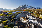 Skarddastinden, Jotunheimen Nationalpark, Sogn og Fjordane, Norwegen