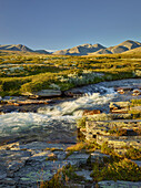 Fluss Store Ula, Spranghaugen, Rondane Nationalpark, Oppland, Norwegen