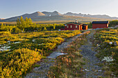 Schotterstrasse zu einer Hütte, Mysusaeter, Rondane Nationalpark, Oppland, Norwegen