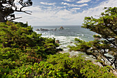 Ecola State Park, Cannon Beach, Oregon, USA