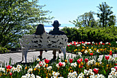 View from the Island of Mainau, Lake Constance, Baden-Wurttemberg, Germany