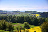Landschaft des Bodanrück, Blick bis zum Säntis (Schweiz) , westlicher Bodensee, Baden Württemberg, Deutschland