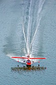 Searey, a small seaplane landing on the Chesapeake Bay, in Maryland, USA.