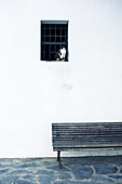 Cat in window. Cadaques, Catalonia, Catalonia, Costa Brava, Girona, Spain