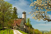Spring at Birseck castle near Arlesheim, Switzerland.