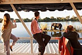 tourism in sunset cruise zambezi river. victoria falls.