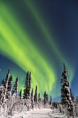 Northern light, Aurora borealis and moonlight over winter forest and winter road, Gällivare, Sweden, Swedish lapland.