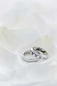 Two wedding rings his and hers set amongst white Rose petals.