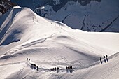 Climbing in Mont Blanc, Chamonix, French Alps, Savoie, France, Europe.