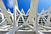 Science Museum. CAC. Architect Santiago Calatrava, Ciudad de las Artes y de las Ciencias. City Of Arts and Sciences. Valencia. Comunidad Valenciana. Spain.