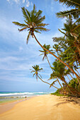 Sri Lanka Beach near Koggala Village, south part of Sri Lanka, Asia