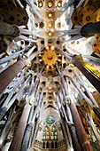 Spain, Catalonia, Barcelona, Eixample, the Sagrada Familia Basilica whose construction started in 1882, designed by Catalan modernist architect Antoni Gaudi, listed as World Heritage by UNESCO, vault of the central nave.