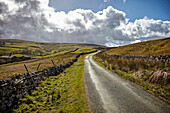 Swaledale, Yorkshire Dales, Yorkshire, England, United Kingdom, Europe