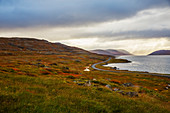 'A road leads in the distance amongst the autumn colors in Iceland Westfjords; Iceland'