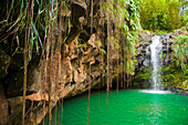 'Lagoon with small waterfall, Annandale Falls; St. Georges, Grenada'