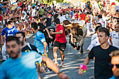 'Festival in Alcala de Henares, bull running, one of the most followed attractions; Alcala de Henares, Madrid, Spain'