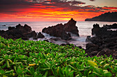 'Sunrise over the ocean and coastline; Laupahoehoe, Island of Hawaii, Hawaii, United States of America'