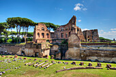 Stadium of Domitian, Palatine hill, Forum romanum, Rome, Latium, Italy